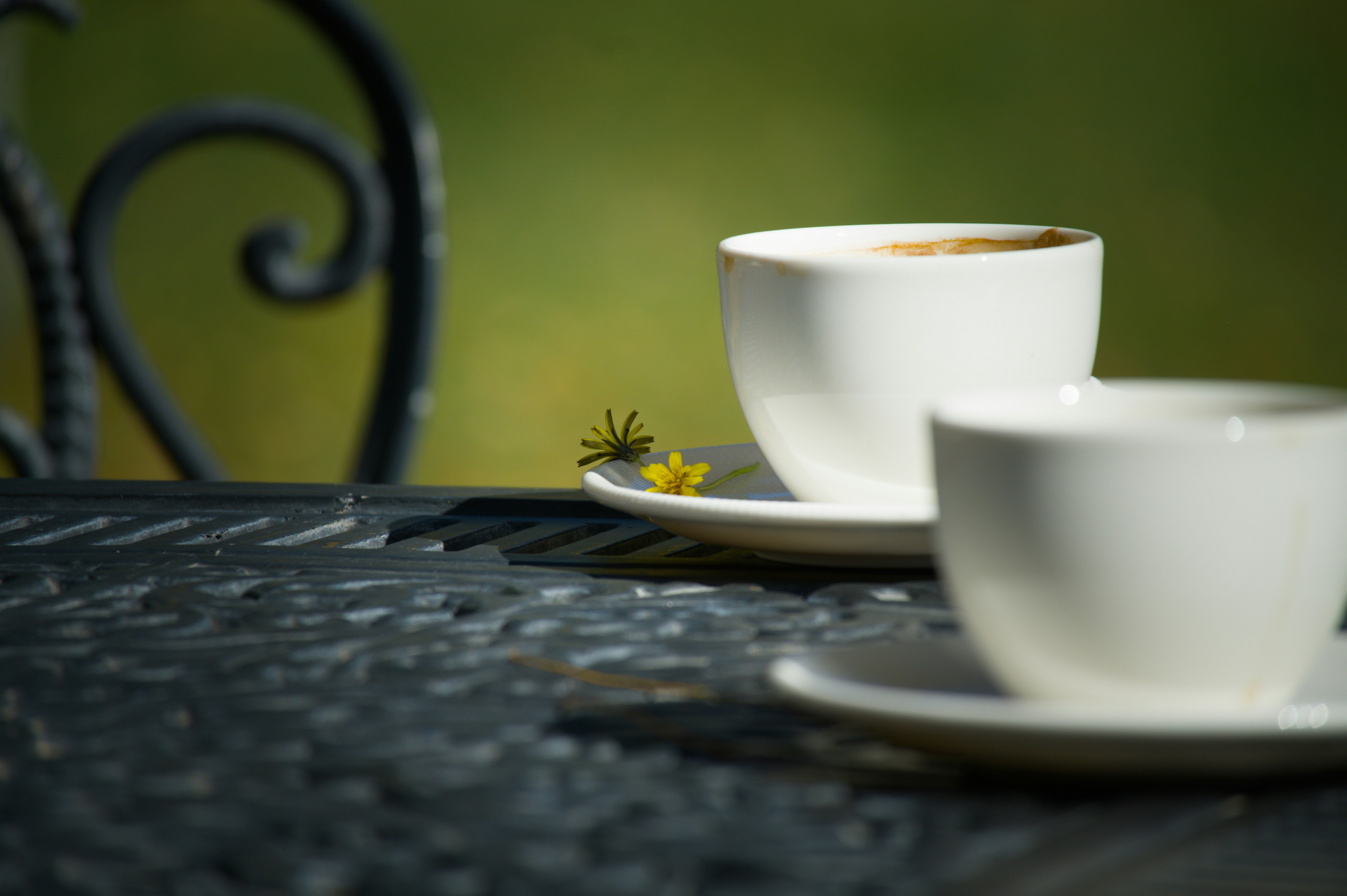 Senior Companion Circle: A Shift in Perspective