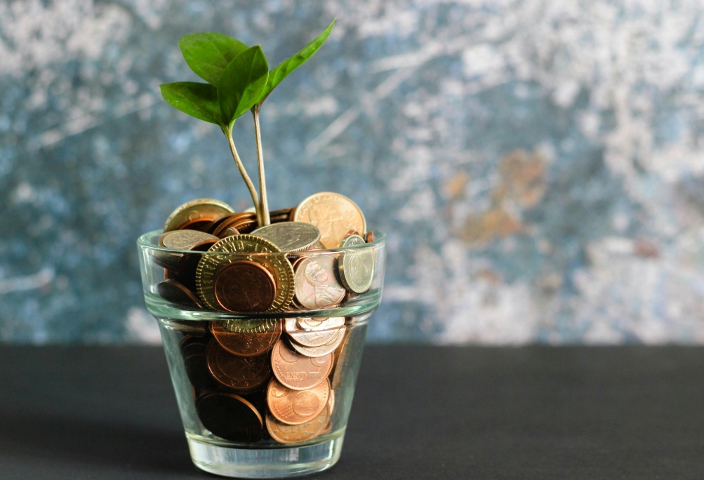 Stewards Assistance Fund Collection