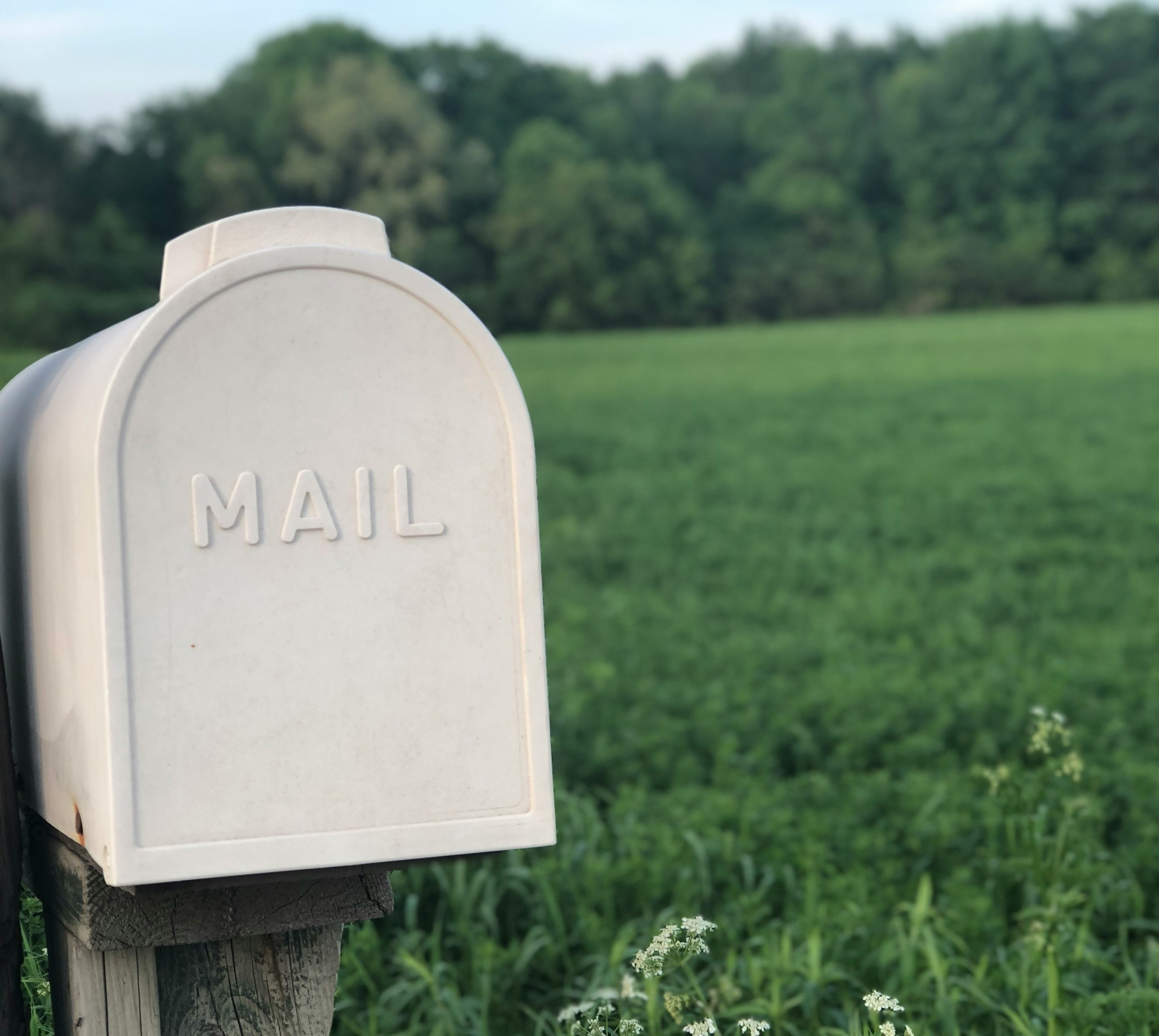 A Summer Card Connection for Senior Companions