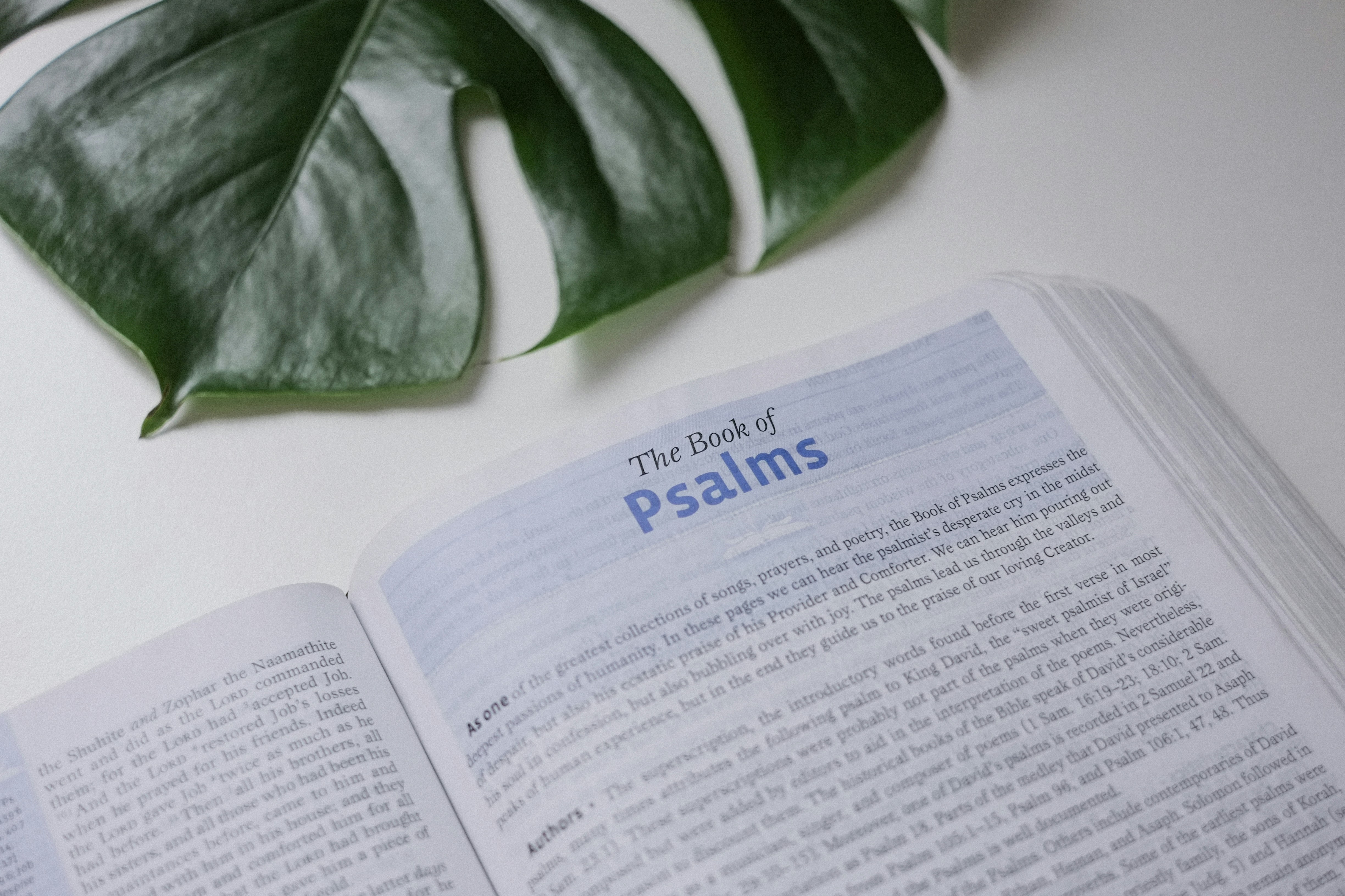 Approaching God Through the Psalms